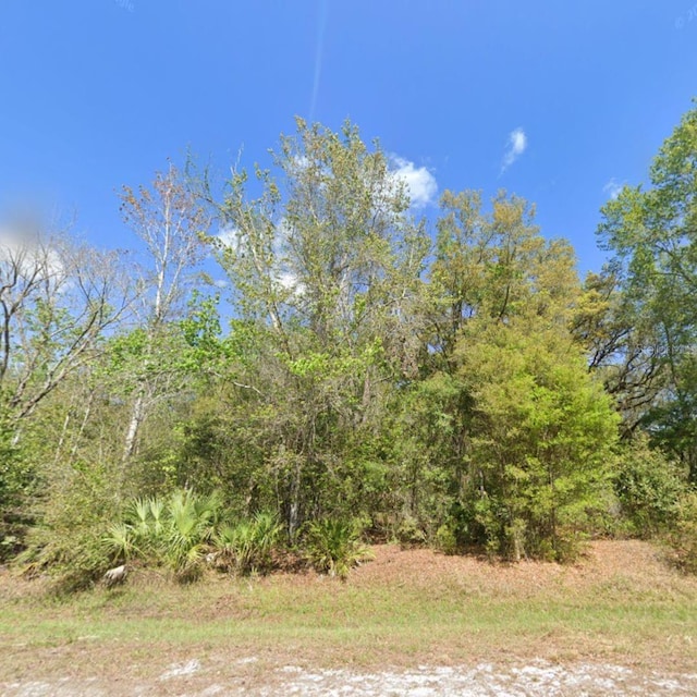 Listing photo 3 for 934 Paradise Blvd, Georgetown FL 32139