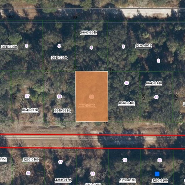 934 Paradise Blvd, Georgetown FL, 32139 land for sale