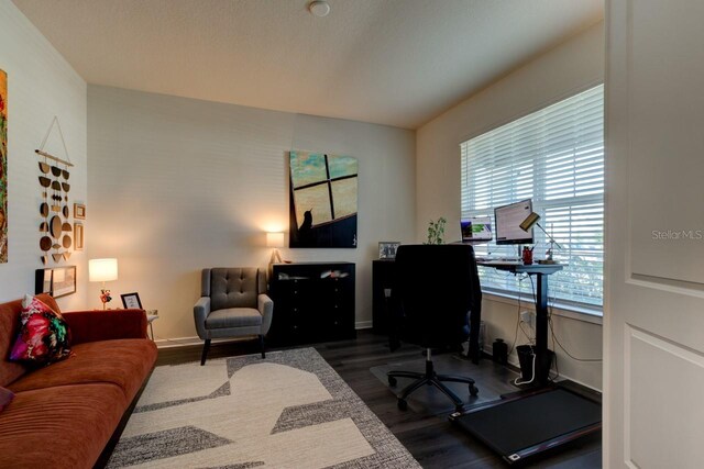 4009 Winding Meadows St, Apopka, FL 32712 - office space with baseboards and wood finished floors