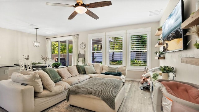 living room featuring ceiling fan, light hardwood / wood-style flooring, and plenty of natural light