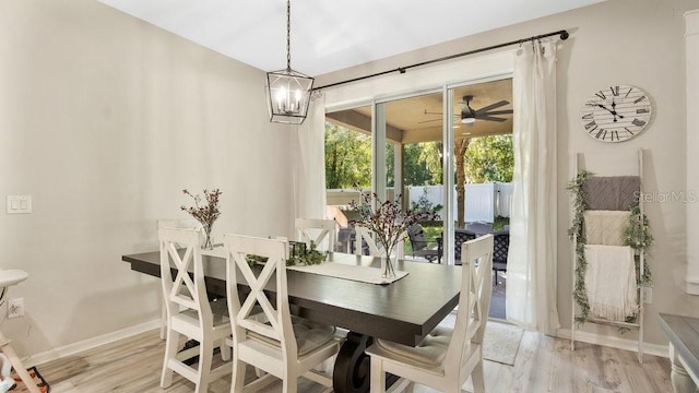 dining space with light hardwood / wood-style flooring and ceiling fan with notable chandelier