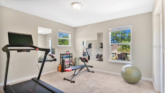 workout area featuring carpet flooring