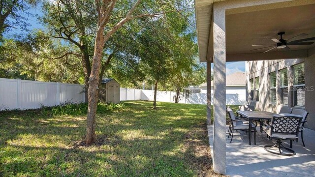 view of yard with a storage unit, a patio area, and ceiling fan