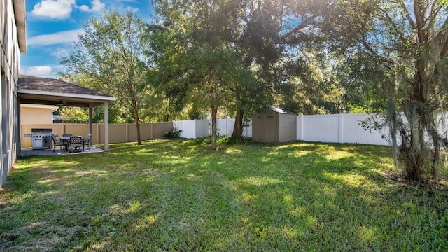 view of yard with a patio and a storage unit