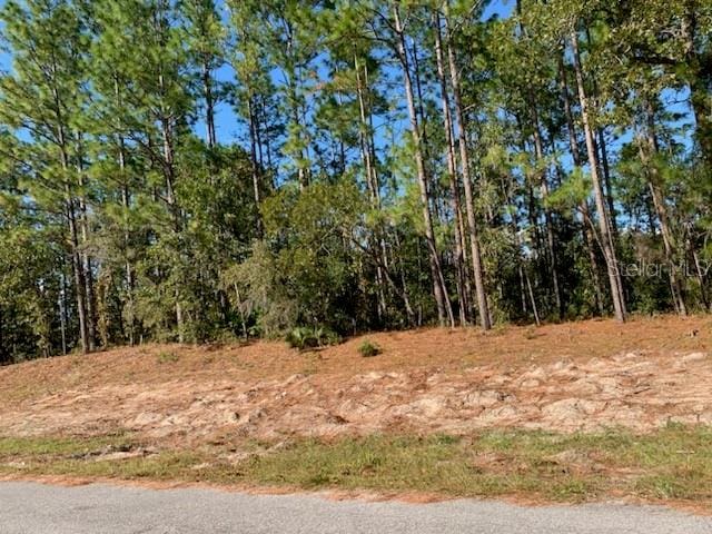 SW 140th Pl, Ocala FL, 34473 land for sale