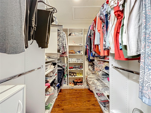 spacious closet featuring dark wood-type flooring