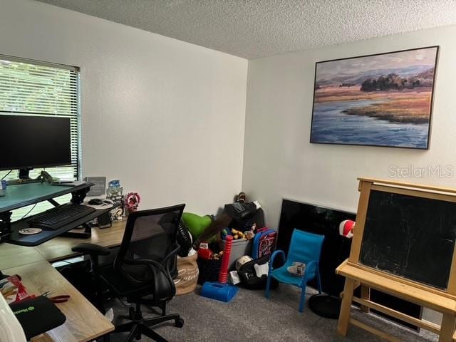 office area featuring a textured ceiling and carpet