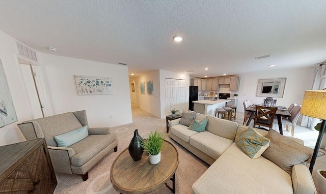 living room featuring a textured ceiling and light colored carpet