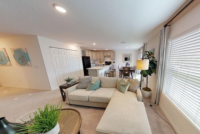 living room with a textured ceiling and light colored carpet