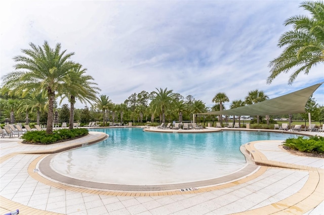 view of pool featuring a patio