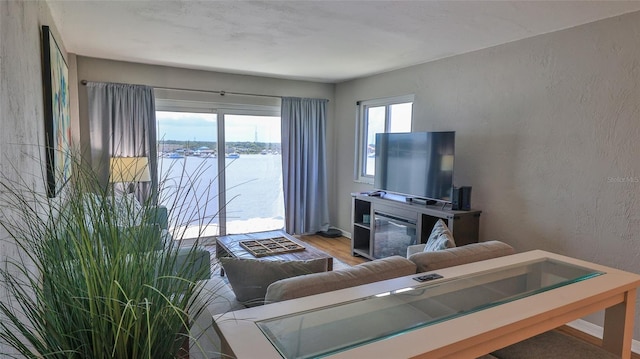145 N Halifax Ave Unit 711, Daytona Beach, FL 32118 - living room with wood-type flooring