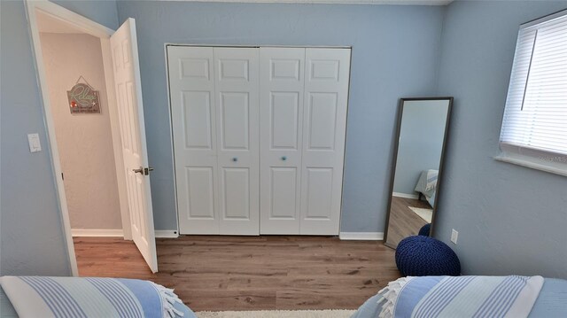 145 N Halifax Ave Unit 711, Daytona Beach, FL 32118 - bedroom with a closet and light wood-type flooring