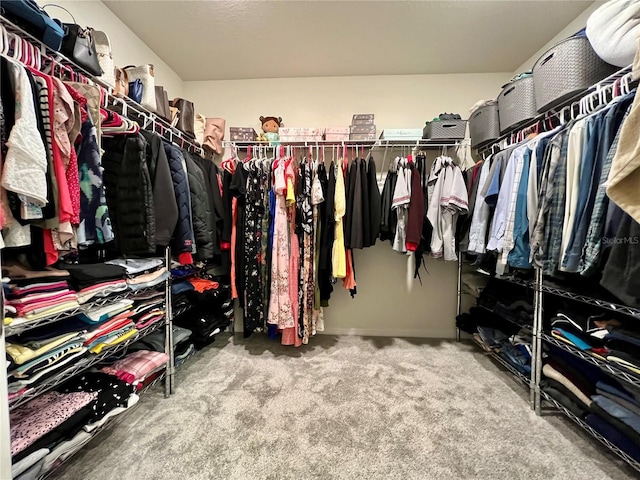 spacious closet with carpet floors