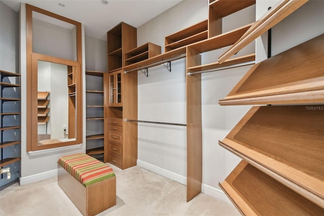 spacious closet with light carpet