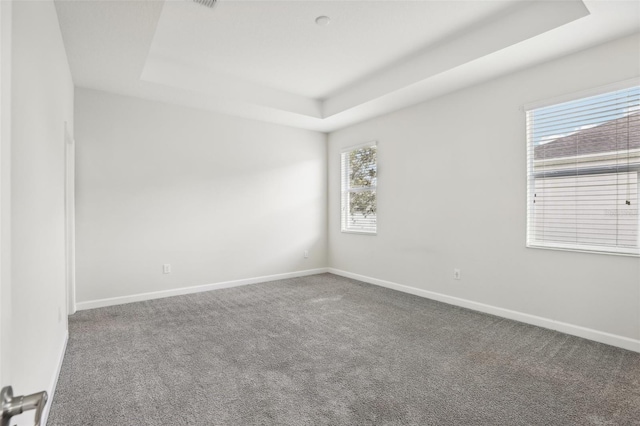 spare room featuring carpet flooring, a wealth of natural light, and a tray ceiling