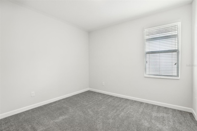 spare room with carpet floors