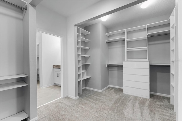 spacious closet featuring light carpet