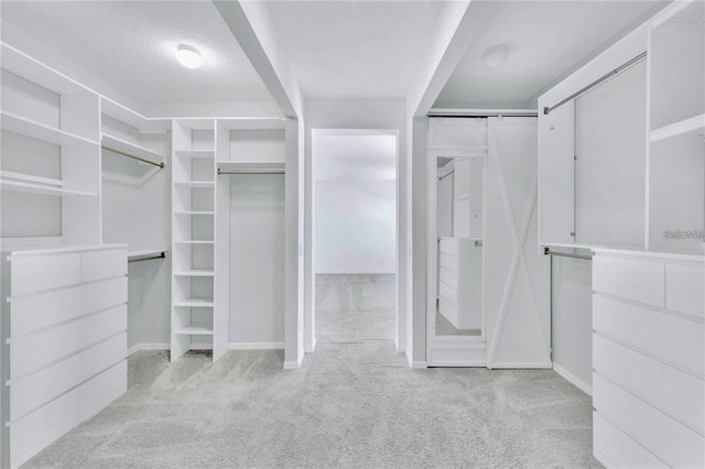 spacious closet with light colored carpet