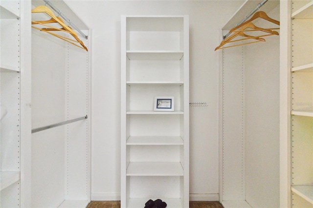 view of walk in closet