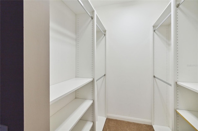 spacious closet with carpet flooring