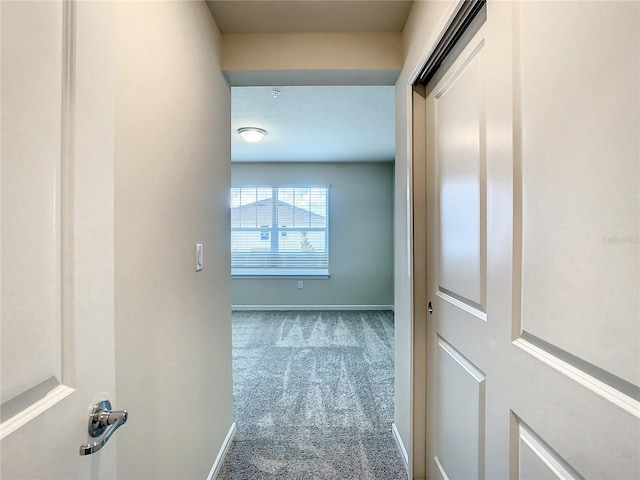 corridor featuring carpet floors