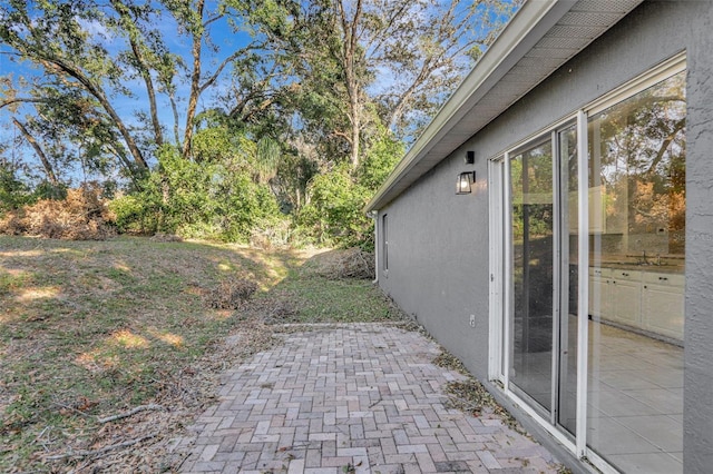 view of yard featuring a patio area