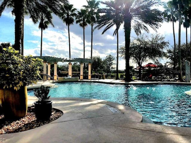 view of pool featuring a patio and a pergola