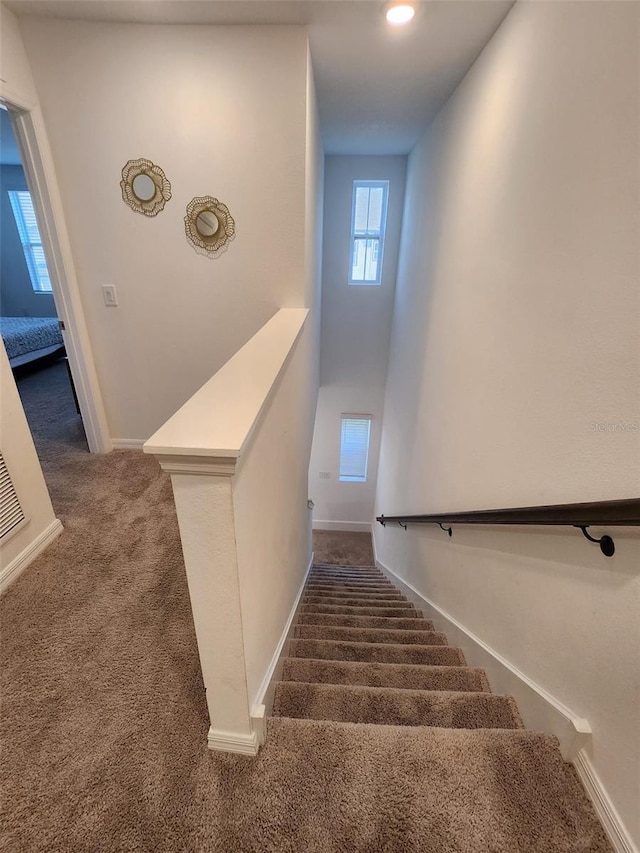 stairs with carpet floors