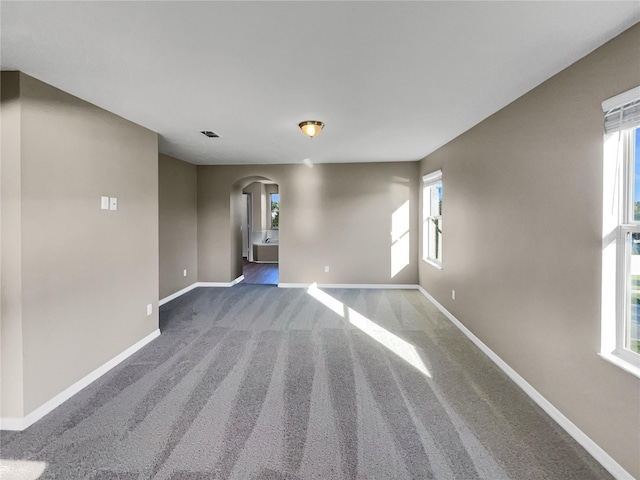 carpeted empty room featuring plenty of natural light