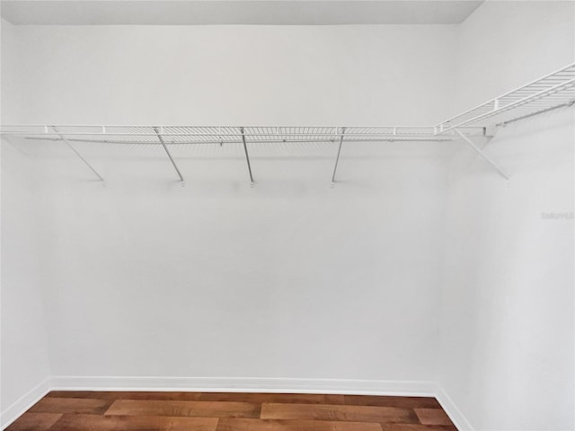 spacious closet featuring wood-type flooring