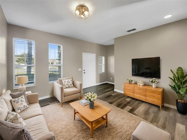 living room with dark hardwood / wood-style floors