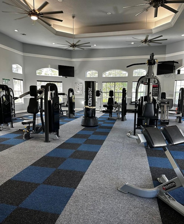 exercise room with ceiling fan, carpet, ornamental molding, and a raised ceiling