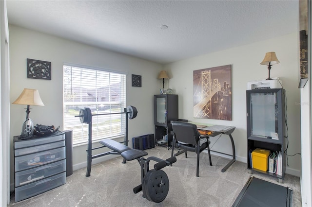 workout room featuring a textured ceiling and light colored carpet