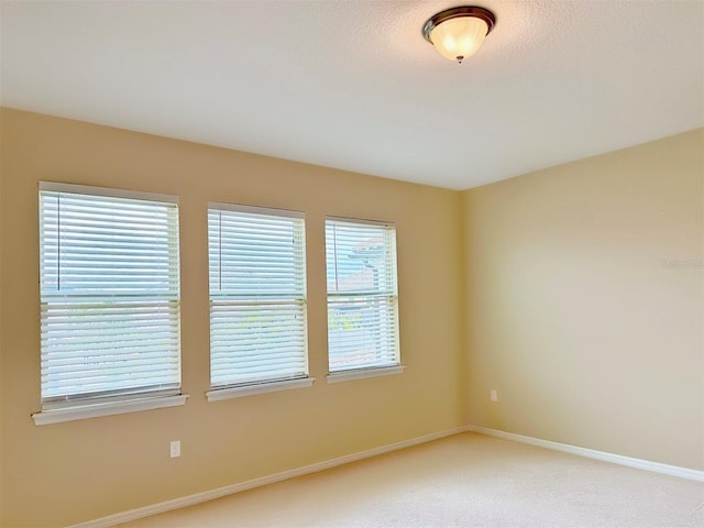 spare room featuring plenty of natural light and carpet