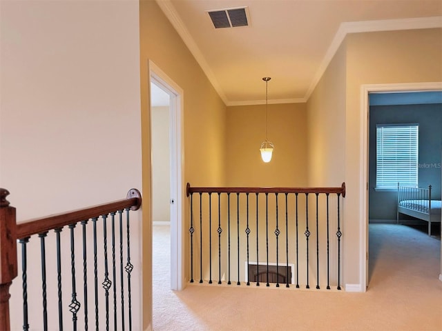 hallway featuring carpet and ornamental molding