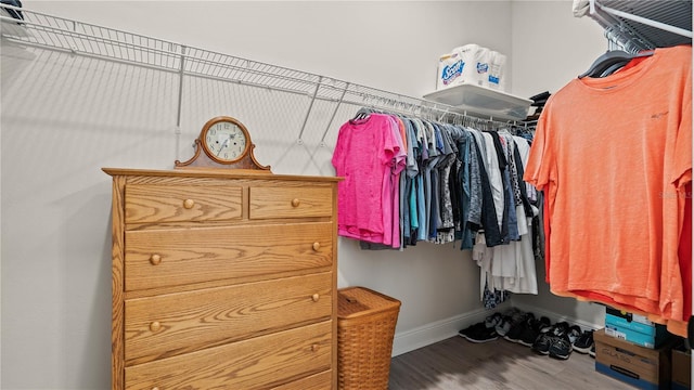 spacious closet featuring wood finished floors