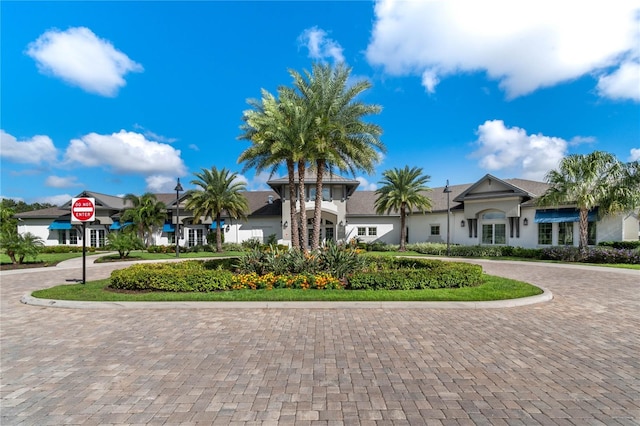 view of front of home featuring curved driveway and stucco siding