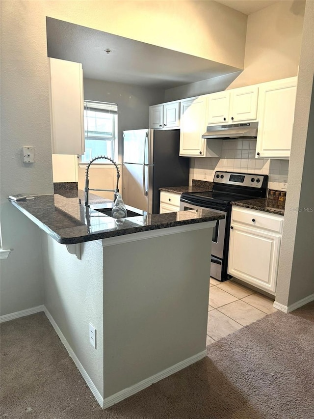 413 Summit Ridge Pl Unit 209, Longwood, FL 32779 - kitchen with stainless steel appliances, under cabinet range hood, a peninsula, a sink, and backsplash