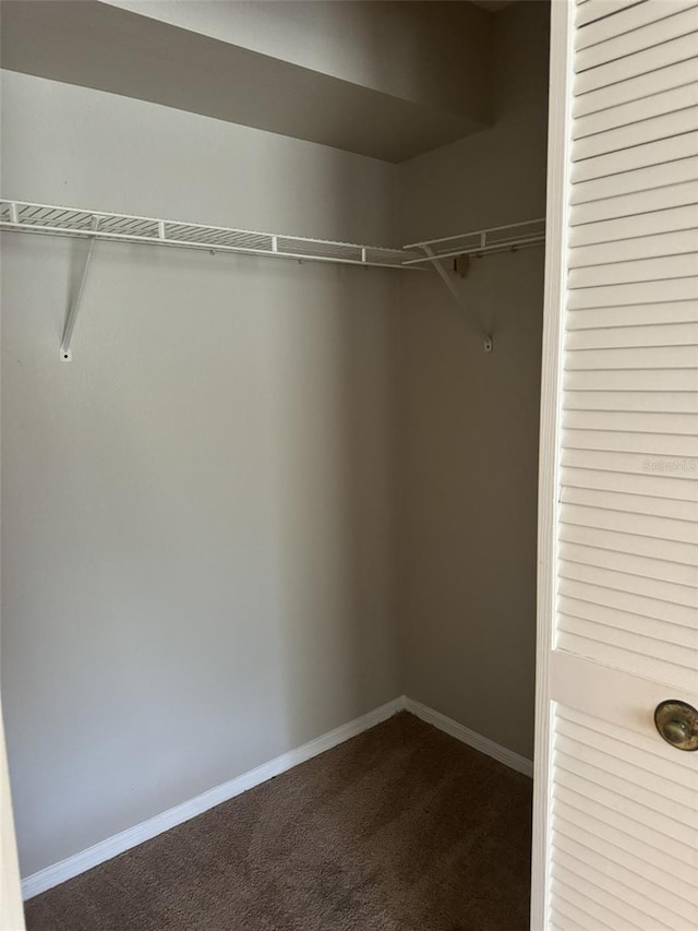 walk in closet with carpet