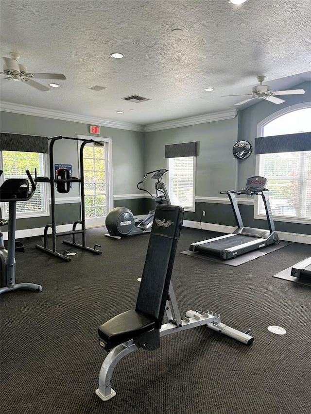 workout area with a textured ceiling, ornamental molding, and a healthy amount of sunlight