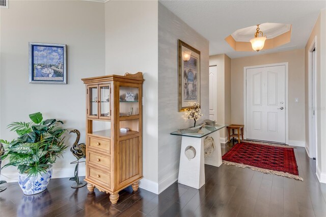 entrance foyer with dark wood-type flooring and a raised ceiling