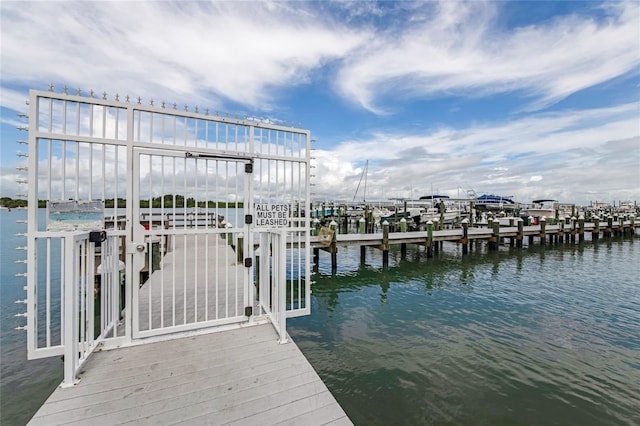 dock area with a water view