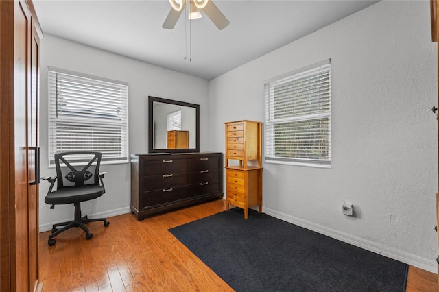 office featuring light hardwood / wood-style floors and ceiling fan