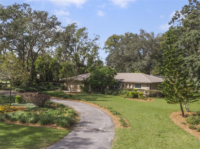 view of front of property featuring a front yard