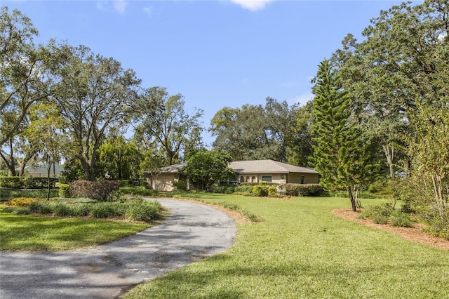 view of front facade featuring a front yard