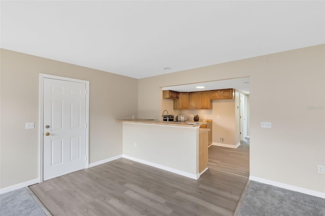 kitchen featuring hardwood / wood-style flooring, sink, and kitchen peninsula