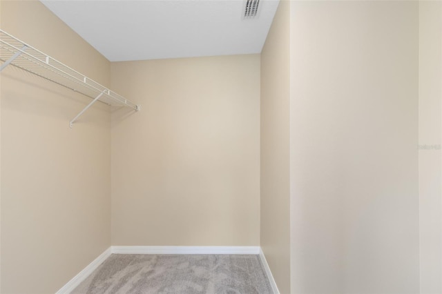 spacious closet with light colored carpet