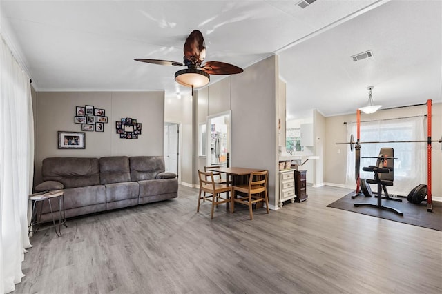 living room with ceiling fan, lofted ceiling, wood-type flooring, and ornamental molding