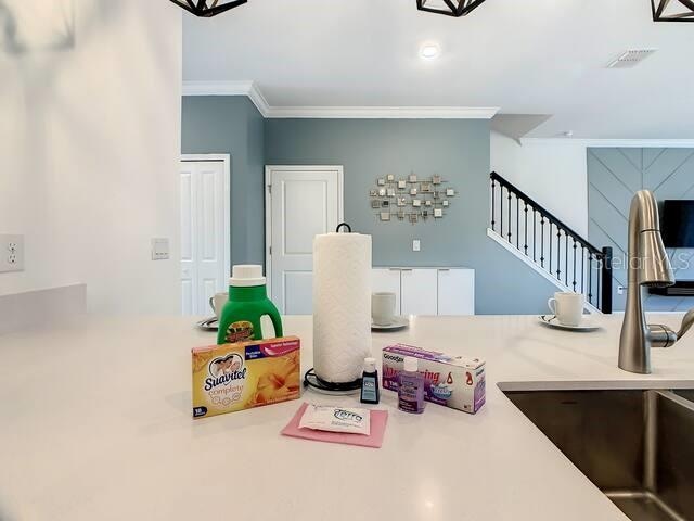 interior space with ornamental molding and sink