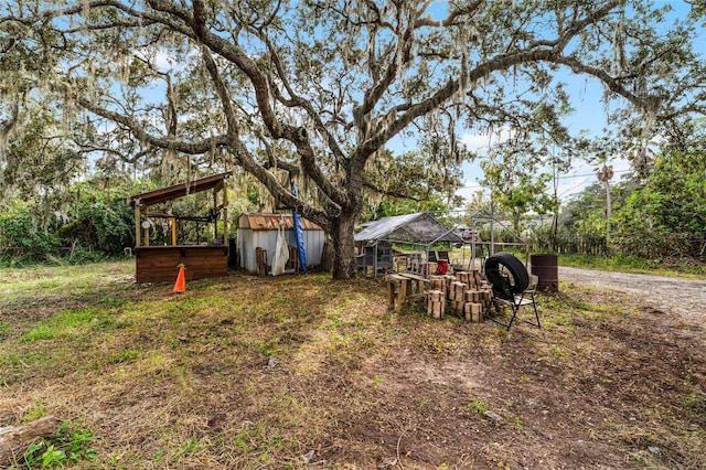 view of yard with a storage shed